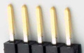 5 pin single row male photo